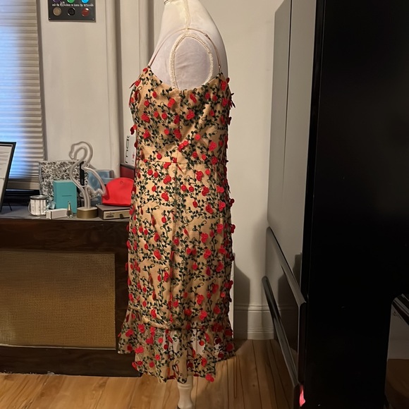 Dress the population 3D Cherry dress size L.  Dress is like a tan w/ green & red - Picture 9 of 10